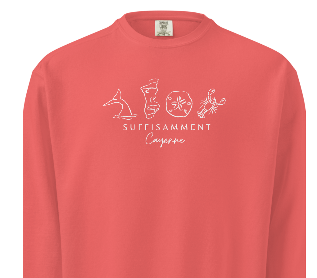 SUFFISAMMENT Broderie avant et manche